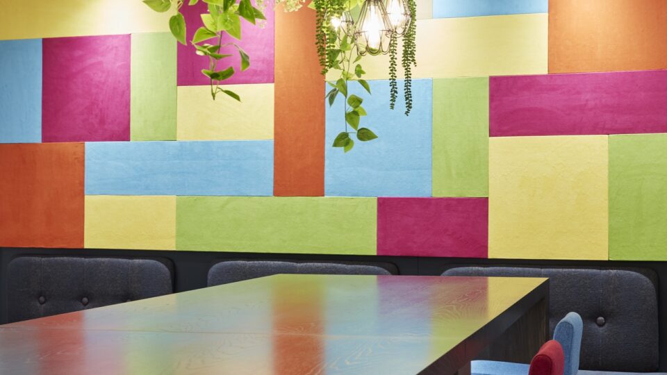 Multicoloured feature wall and hanging planting